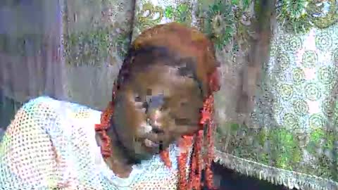 zarinamarlin online show from 28, 3, 2026