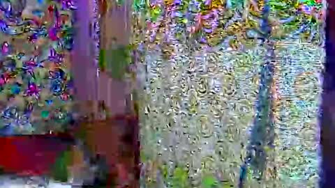 zarinamarlin online show from 9, 4, 2026