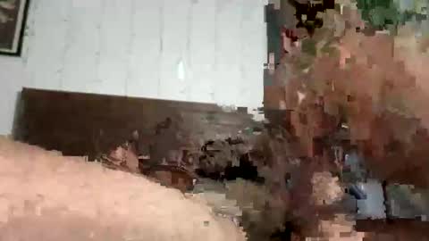 zayden online show from 23, 10, 2025