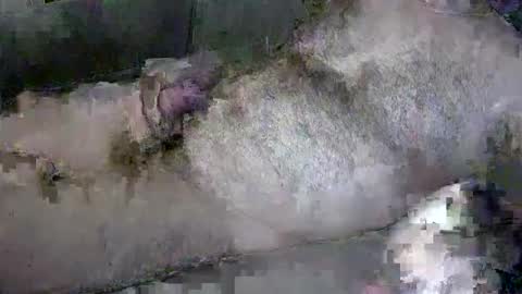 Snapshot of zepincam chatting on 13, 10, 2025 zepincam online show from 13, 10, 2025