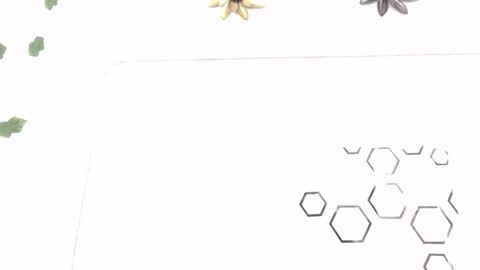 Carolina online show from 12, 1, 2026