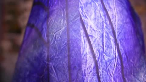 zoey fox  online show from 8, 4, 2026