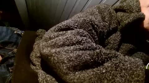 zolexthomas online show from 1, 2, 2025