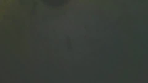 Snapshot of zomma44 chatting on 27, 5, 2026 zomma44 online show from 27, 5, 2026