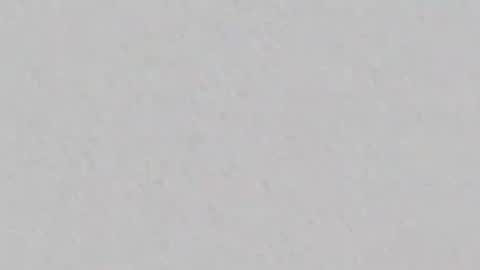 Alicie online show from 14, 3, 2026