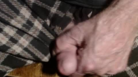 ZZ online show from 13, 1, 2026