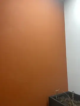 Snapshot of YesTheSexiest chatting on 11, 11, 2025 YesTheSexiest online show from 11, 11, 2025