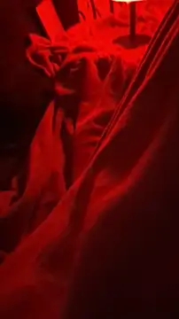 BirdyOfficial   online show from 7, 11, 2025