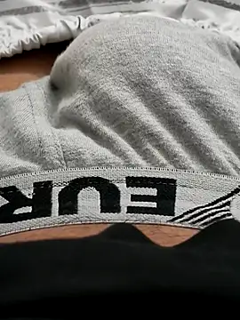 Snapshot of felix_dion chatting on 22, 10, 2025 felix dion online show from 22, 10, 2025