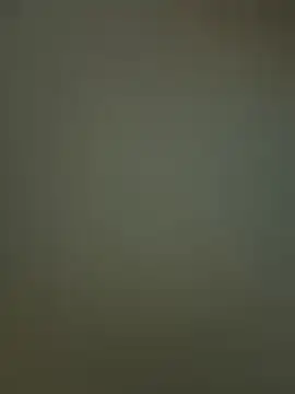 Sam Sara online show from 19, 2, 2026