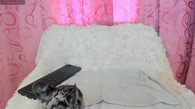 iisabella gonzalez online show from 13, 9, 2025