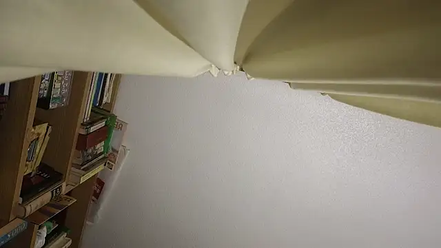 curiosillo83 online show from 23, 3, 2026