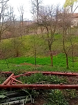 Snapshot of Medelin92 chatting on 3, 4, 2026 Medelin92 online show from 3, 4, 2026