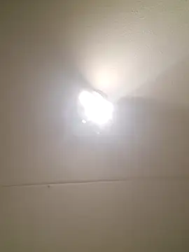 bink1982 online show from 25, 2, 2026