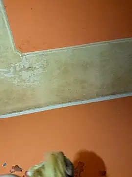 Snapshot of ducicsajsziii chatting on 9, 12, 2024 ducicsajsziii online show from 9, 12, 2024