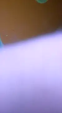 Snapshot of ducicsajsziii chatting on 28, 1, 2025 ducicsajsziii online show from 28, 1, 2025