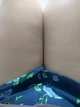 pinaxpack1 online show from 2, 11, 2025