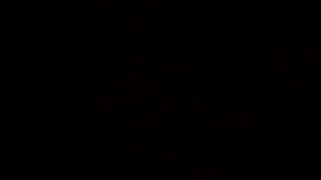 littleone01234 online show from 26, 9, 2025