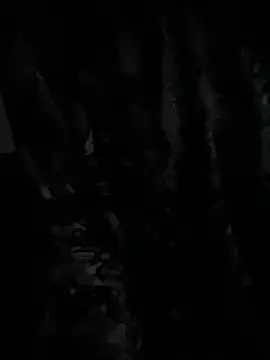 Snapshot of demonslayerr999 chatting on 23, 12, 2024 demonslayerr999 online show from 23, 12, 2024