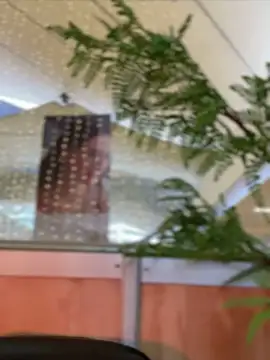 Snapshot of Emilia_Bakerr chatting on 15, 12, 2024 Emilia Bakerr online show from 15, 12, 2024