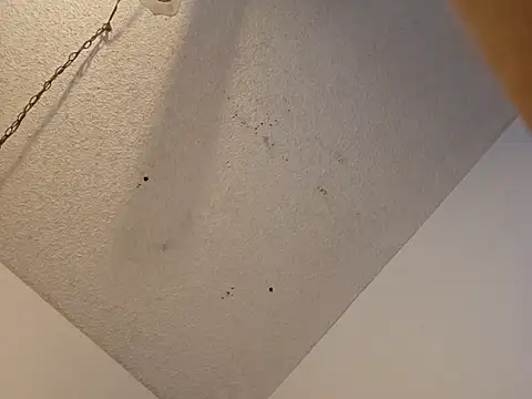 anyway2cum online show from 19, 1, 2025