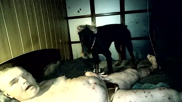 DjiniCD online show from 26, 4, 2026