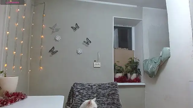 Snapshot of RosaJil chatting on 6, 12, 2024 RosaJil online show from 6, 12, 2024