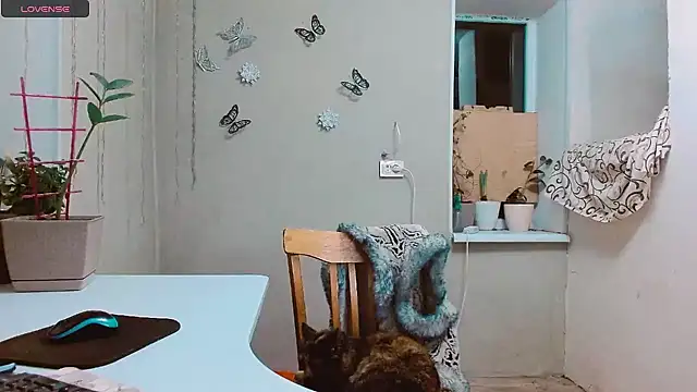 Snapshot of RosaJil chatting on 28, 1, 2025 RosaJil online show from 28, 1, 2025