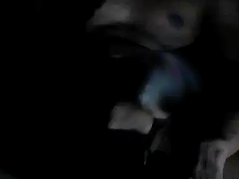 Snapshot of GRATEFUL16 chatting on 6, 2, 2025 GRATEFUL16 online show from 6, 2, 2025