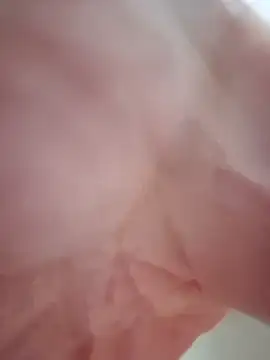 StiveMartin online show from 4, 12, 2025