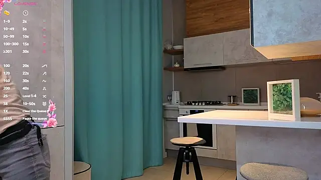 DonnaBurkee online show from 4, 12, 2025