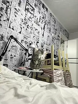 Minami 686 online show from 9, 12, 2024