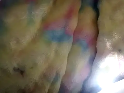 Moreno1813 online show from 15, 3, 2025