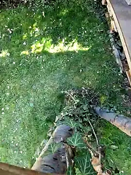 Lorent6969 online show from 7, 3, 2025