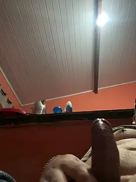 brunogordin69 online show from 25, 9, 2025