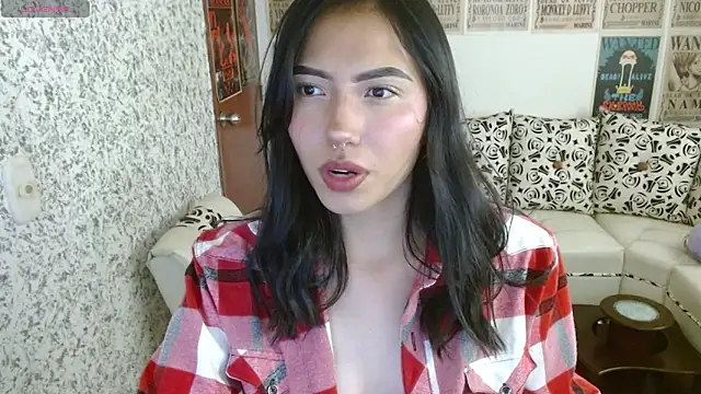 wild kittys online show from 12, 4, 2026