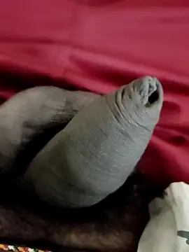 Snapshot of Ashish02345 chatting on 24, 1, 2025 Ashish02345 online show from 24, 1, 2025