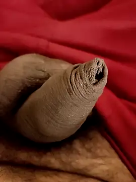 Snapshot of Ashish02345 chatting on 25, 1, 2025 Ashish02345 online show from 25, 1, 2025