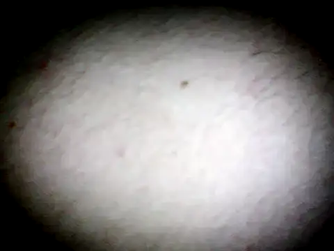 anald66666 online show from 13, 1, 2025