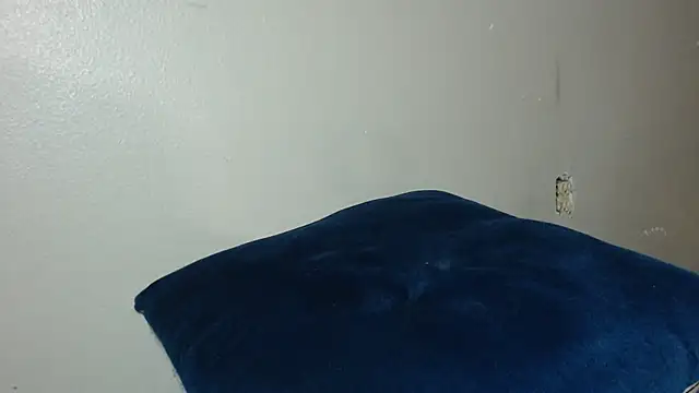 Dogz n daugthers online show from 20, 12, 2024