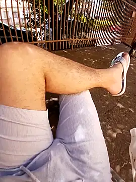 braza66 online show from 5, 4, 2026