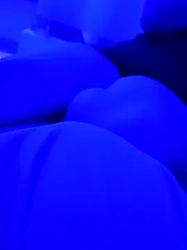 AlanDickson online show from 12, 3, 2026