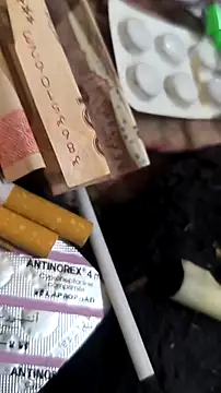 trans511 online show from 11, 4, 2026