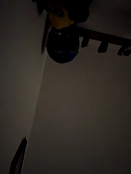 Kylie2211 online show from 15, 12, 2025