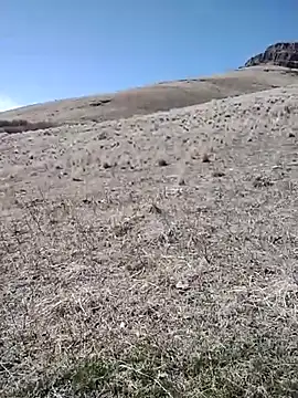 Snapshot of rockpimp chatting on 9, 3, 2026 rockpimp online show from 9, 3, 2026