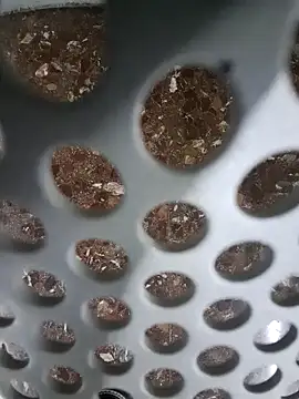 SexyErola27 online show from 6, 12, 2024