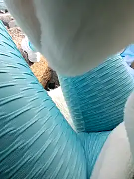 SexyErola27 online show from 24, 1, 2025