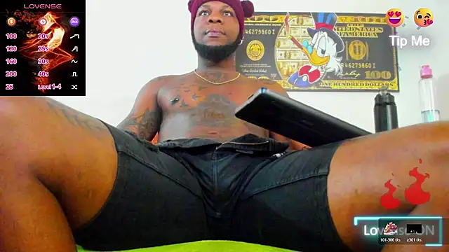 wotton 17 online show from 5, 11, 2025