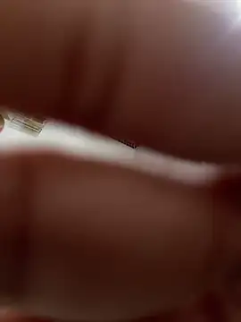 Mila Morgan online show from 7, 3, 2025