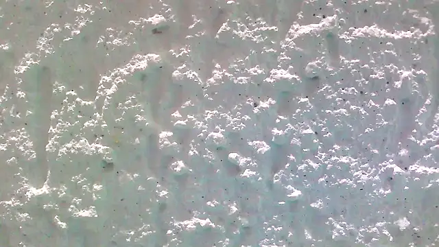 carolinesampaio online show from 13, 3, 2025